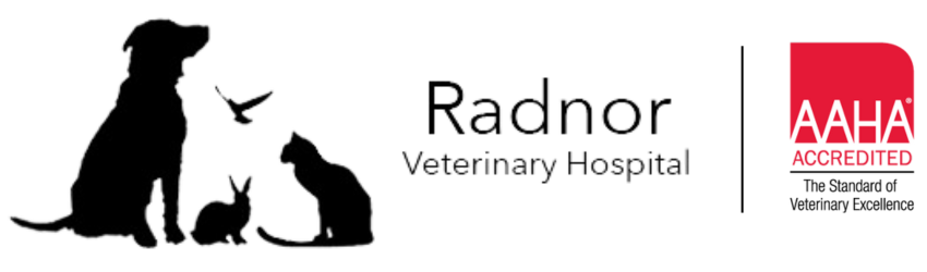 Radnor Veterinary Hospital logo with AAHA logo